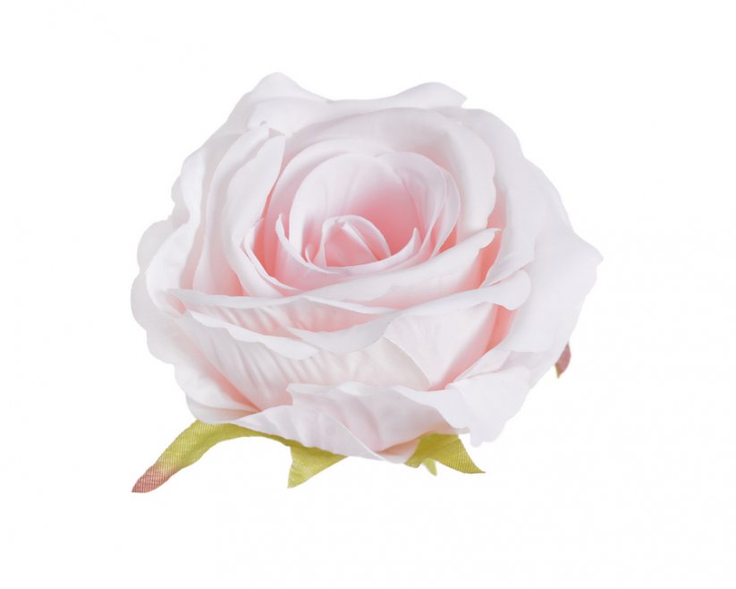 růže velká - hlavičky (6 ks) - světlá růžová