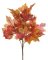 listy javoru - trs oranžovočervený