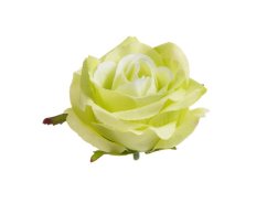 malé růže - hlavičky 7 cm (12 ks) - zelená apple