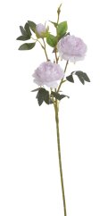 plnokvětá růže 65 cm - světlá fialová