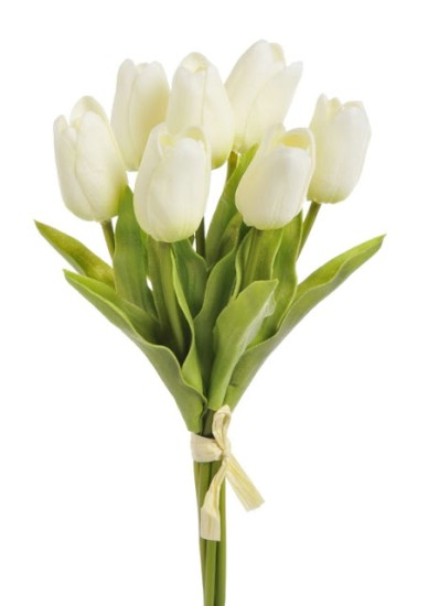 tulipán pěnový (7 ks) - vanilková