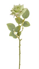 růže 41 cm - zelená