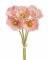 anemon (5ks) - růžová