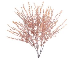 drobnolistá rostlina - oranžová