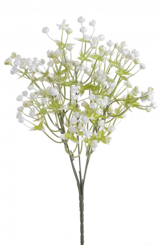 gypsophila s lístečky - bílá