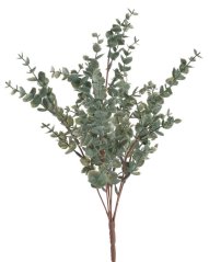 trs eukalyptus 46 cm - šedozelený
