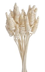 Cane cone (25 ks) - bílá