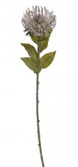 leucospermum 73 cm - šedá
