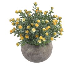 květinky v květináči