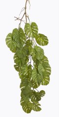 převis monstera 95 cm - zelená