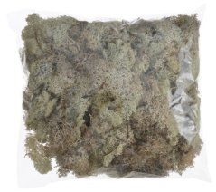 mech islandský (250 g) - bílá přírodní