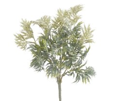 eryngium listy - zelená/bílá
