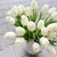 tulipán pěnový (5 ks) - bílá se zeleným nádechem