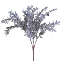 ruscus drobnolistý - modrošedý