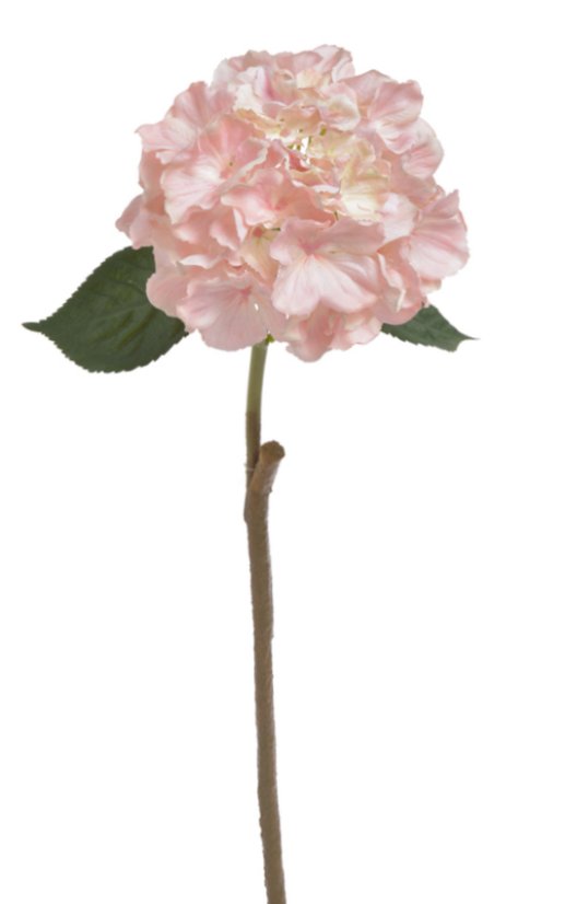 hortenzie 59 cm - růžová