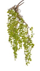 umělý převislý eukalyptus 76 cm