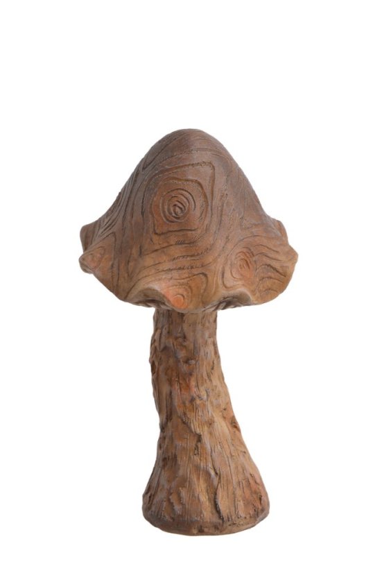 Hřib 24 cm