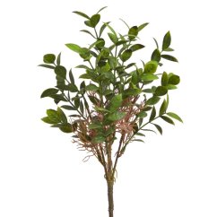 umělý ruscus - zelená
