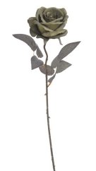růže velvet - khaki