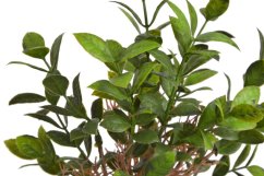 umělý ruscus - zelená