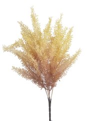 vřesovec trs x5 - krémová/vínová