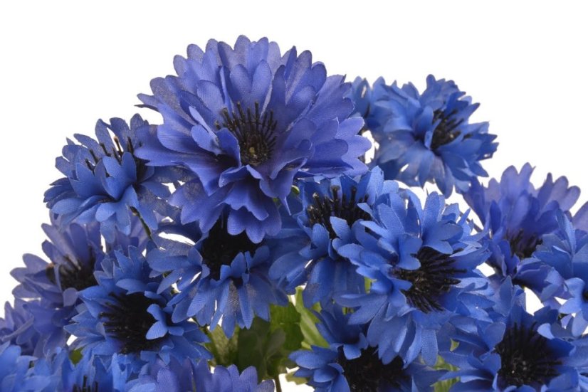 chrpa svazek 31 květů - tm. modrá