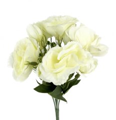 eustoma buket x5 - krémová