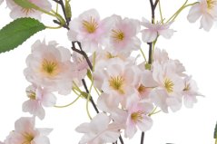 kvetoucí višeň 92 cm - světle růžová