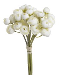 buket mini ranunculus x9 - krémová
