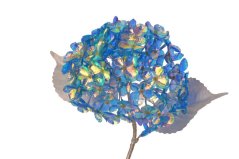 OPALIZZE hortenzie 60 cm – iridescentní modrá