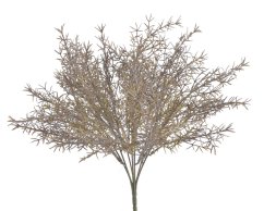 trs asparagus x7 -  šedozelená/bronzová