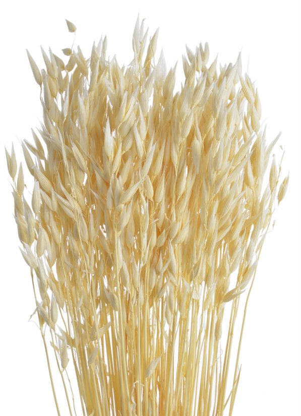 oves bělený (70g)
