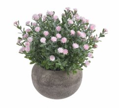 květinky v květináči - světle růžová