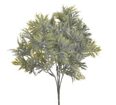 eryngium listy flok - zelená