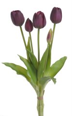 tulipán 40 cm (5 ks) - švestková