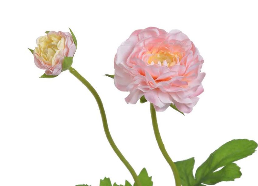 ranunculus s poupátkem 39 cm - růžová
