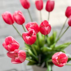 tulipán 40 cm - červenorůžová