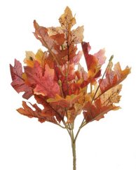 listy dubu - trs červenooranžová