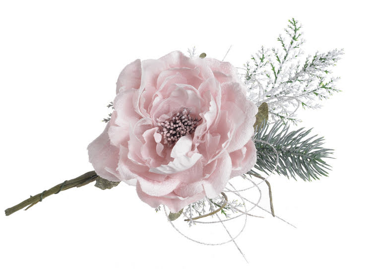 zimní růže s jehličím - růžová