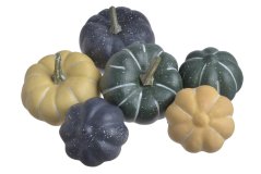 dýně 6 a 8 cm mix (6 ks)