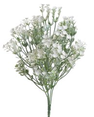 trs gypsophila - bílá