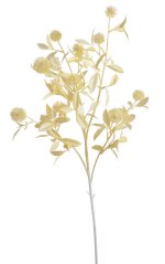 divoký česnek 85 cm - krémová