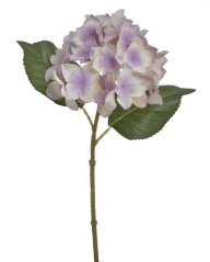 hortenzie 37 cm - bílá/fialová