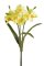 trs narcisů 40 cm - žlutá