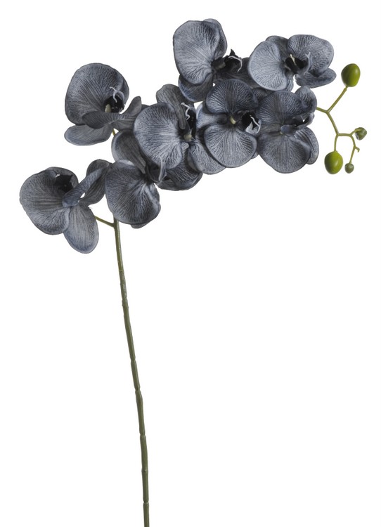 orchidea 100 cm - temná šedomodrá