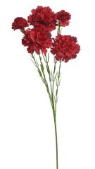 trsový karafiát 61 cm - červená