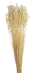 oves bělený (70g)