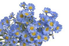 heřmánek svazek 3 ks - modrá