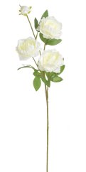 pivoňka 75 cm - bílá/krém