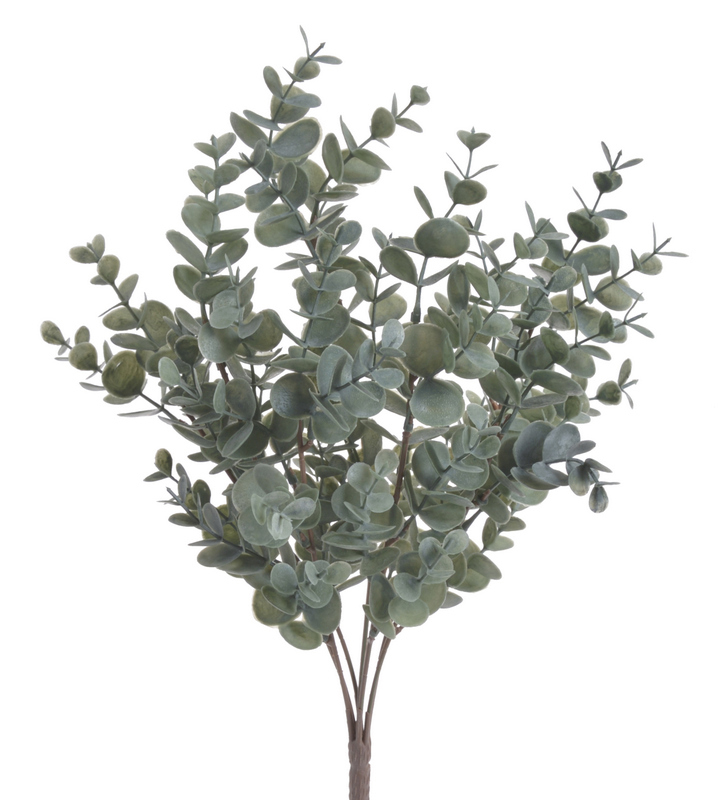 eukalyptus trs x7 - zelenošedá